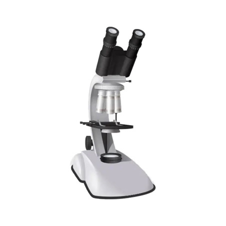 Transparent of medical demonstration device